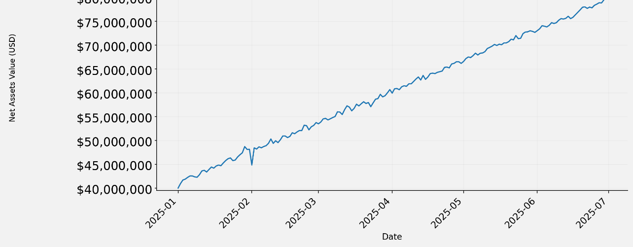 2025 上半年日度净值